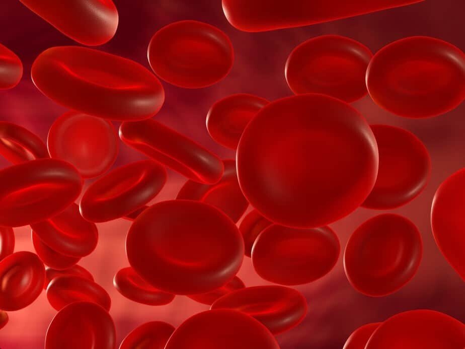 red blood cells form the newborn